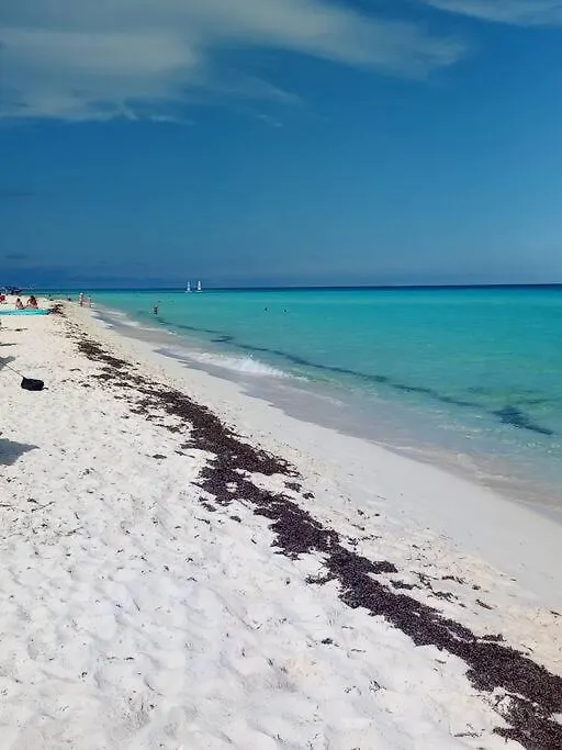 Estudio A Unos Pasos De La Playa En Planta Alta Playa del Carmen 0*,